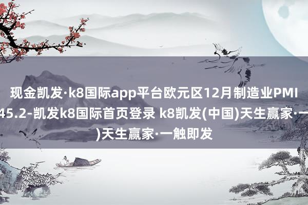 現金凱發·k8國際app平臺歐元區12月制造業PMI初值為45.2-凱發k8國際首頁登錄 k8凱發(中國)天生贏家·一觸即發